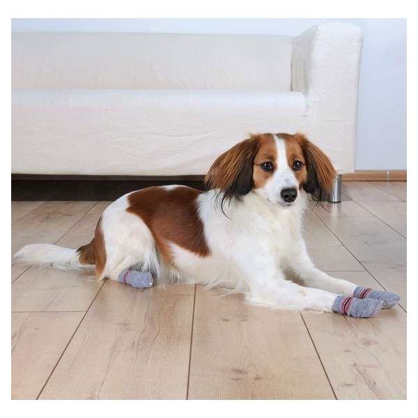 Trixie Hundesocken – Grau – XS-S