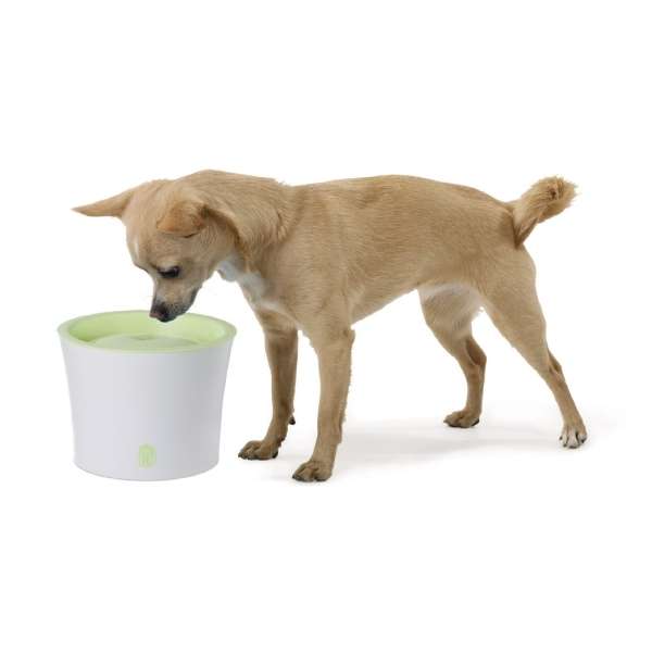 CATIT Fresh+Clear Trinkbrunnen 3L – Lindgr...