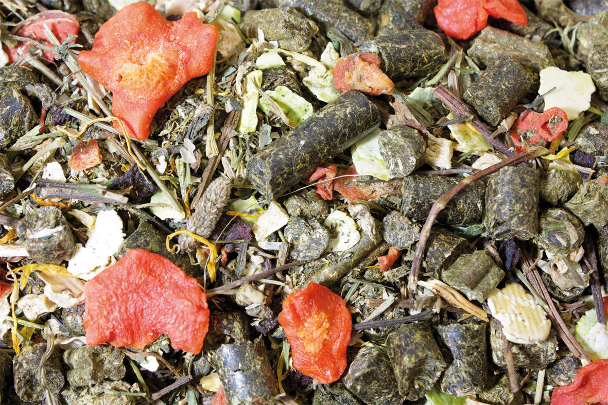 JR Grainless Mix Meerschweinchen 650g