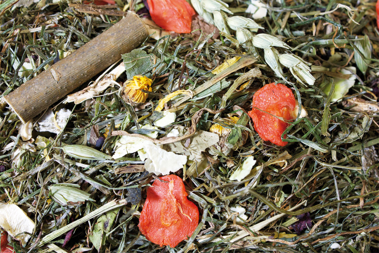 JR Grainless Herbs Zwergkaninchen 400g