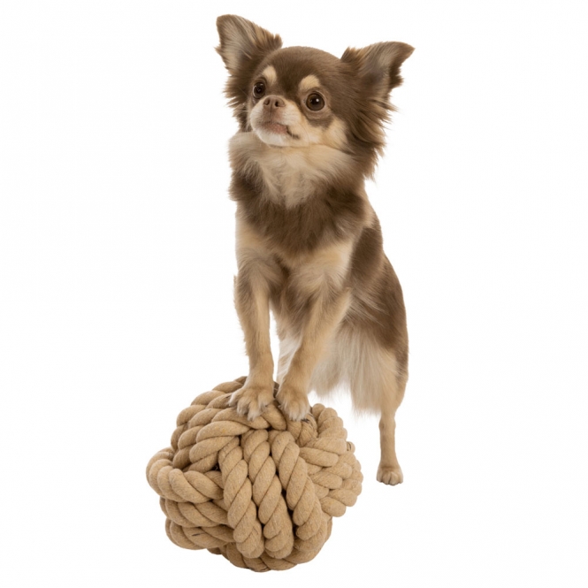 Trixie BE NORDIC Tau-Ball für Hunde – 13 ...