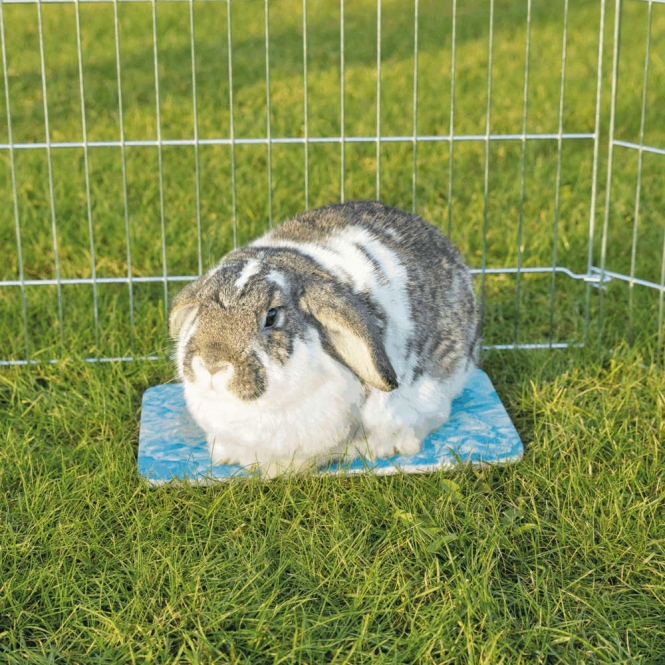 Trixie Kühlplatte für Kleintiere – 28 x ...