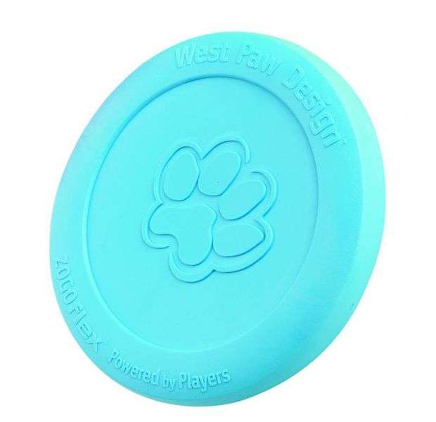 West Paw Zisc – 22 cm – Aqua